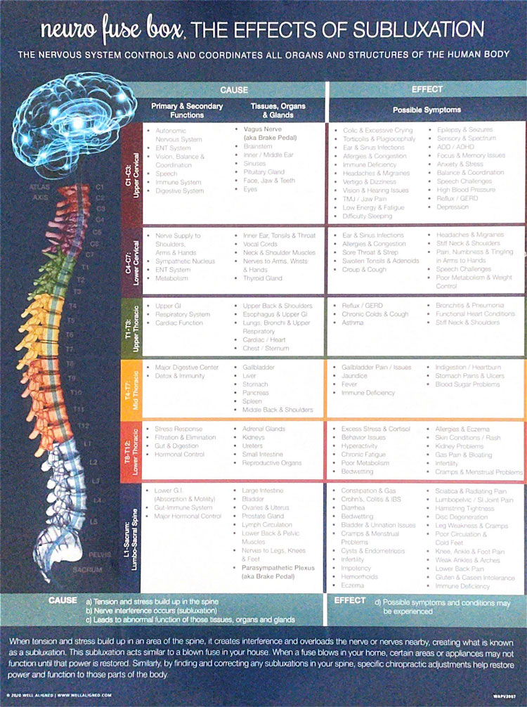 Chiropractic American Fork UT Neuro Fuse Box