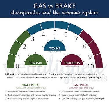 Chiropractic American Fork UT Unique Approach