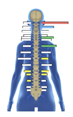 Chiropractic American Fork UT EMG Scan